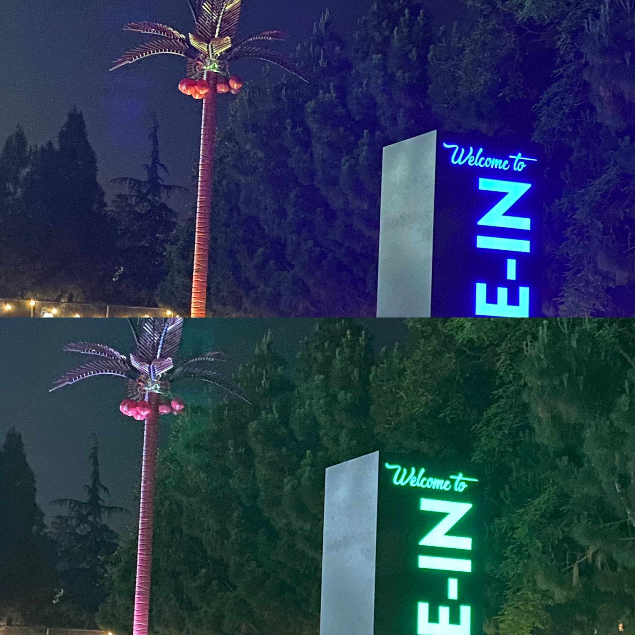 Sally banner image