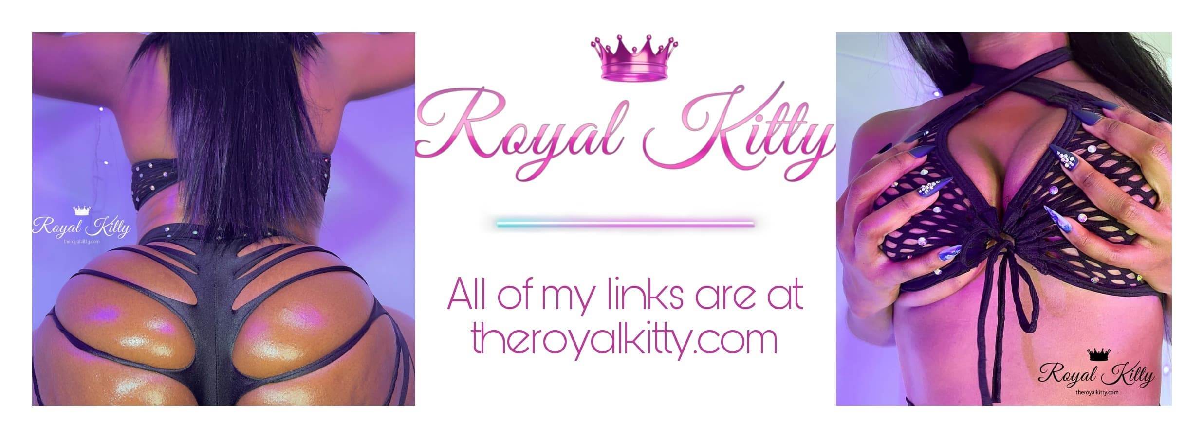 The Royal Kitty 💦 banner image