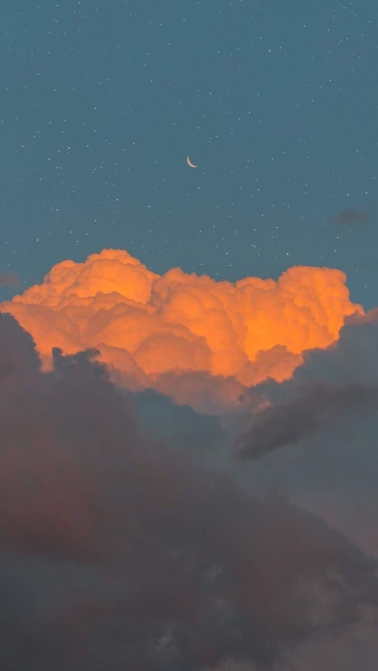 Nyx Knight banner image