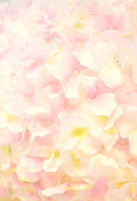 niecey banner image