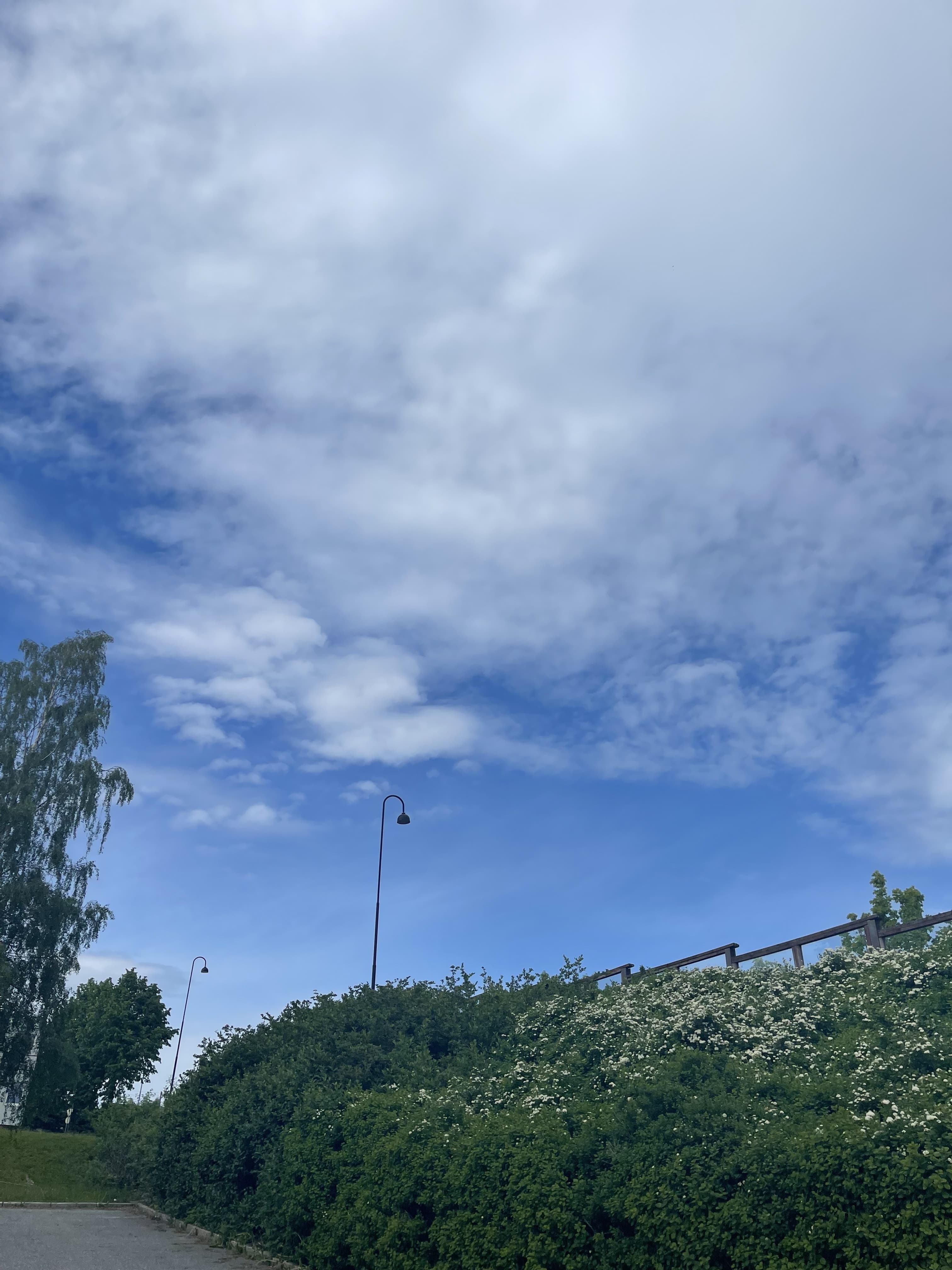 Juicyjune banner image