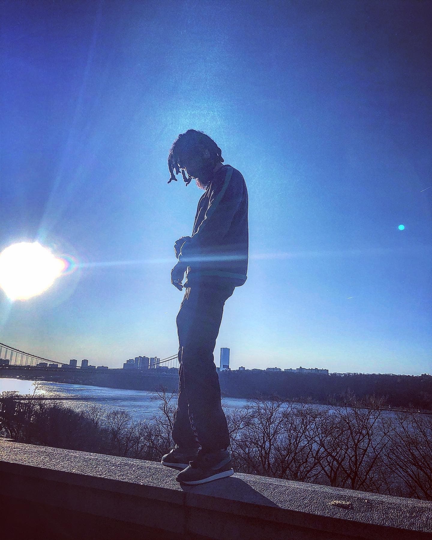 Jay banner image
