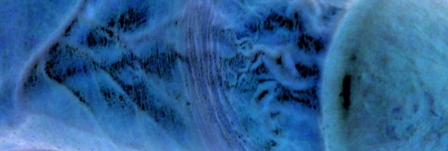 阿空 banner image