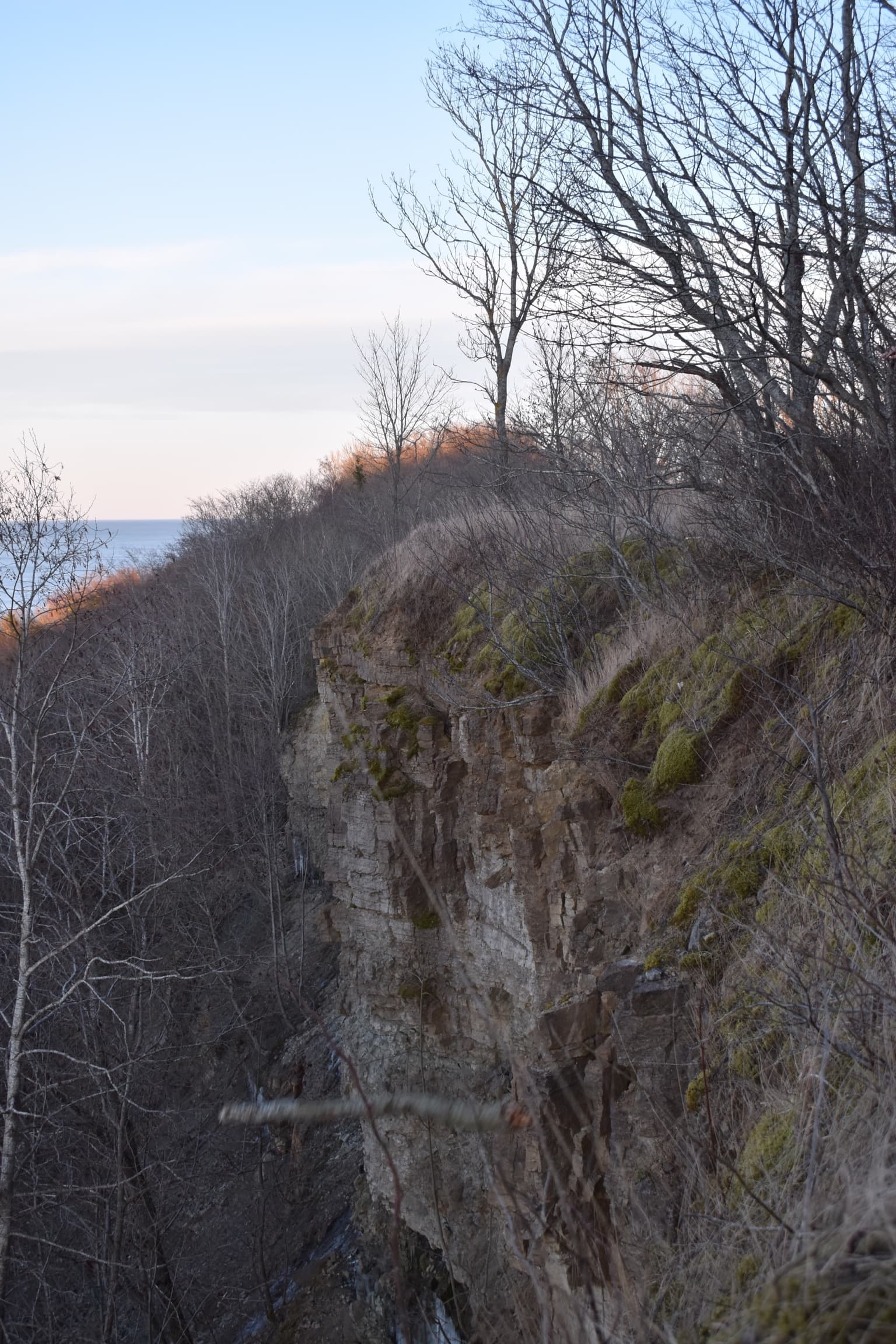 Ville Tille banner image