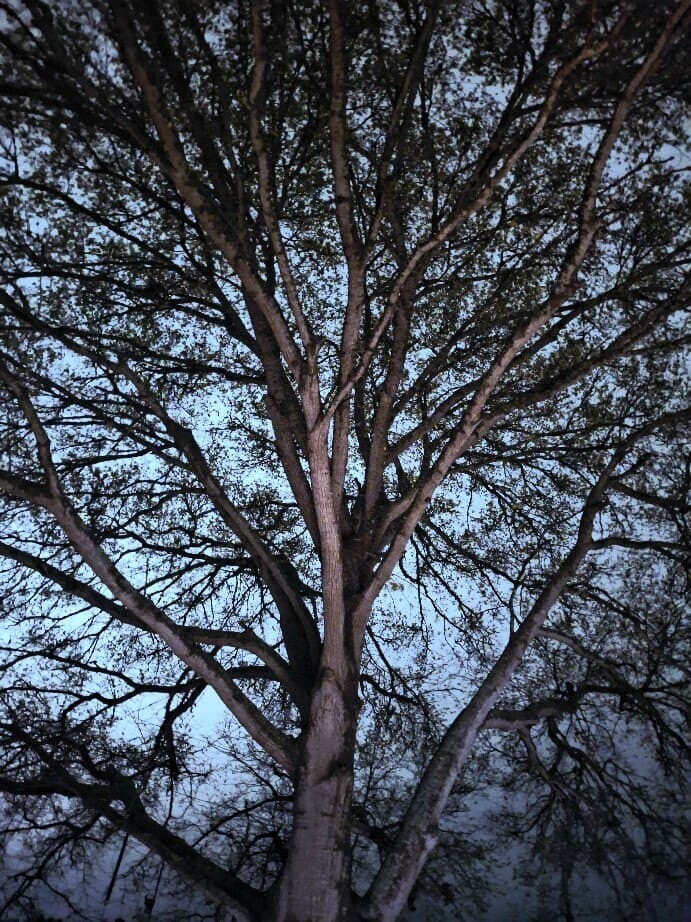 February Sky banner image