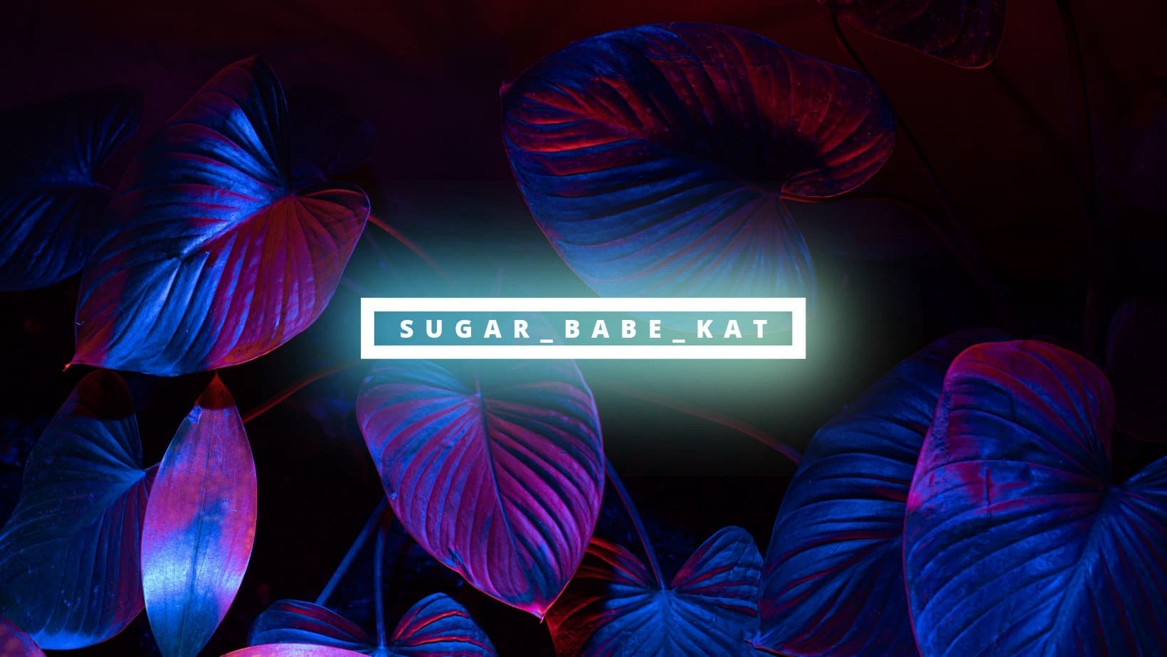 Kat ♥️ banner image