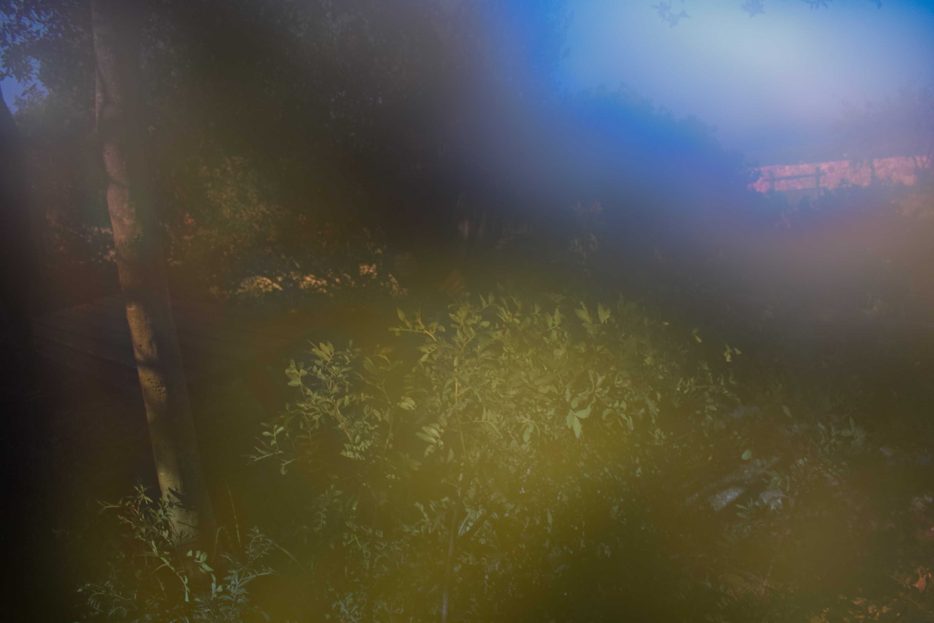 PUNK_SEXY_BOY banner image