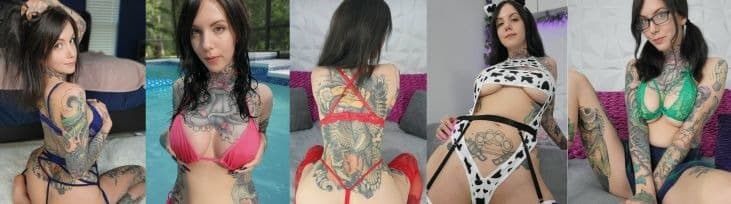 Harliequinnx banner image