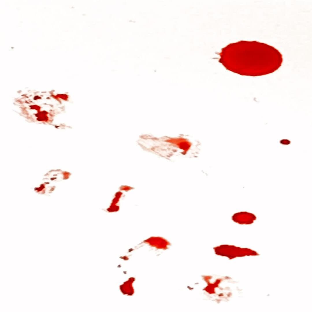 ryan banner image