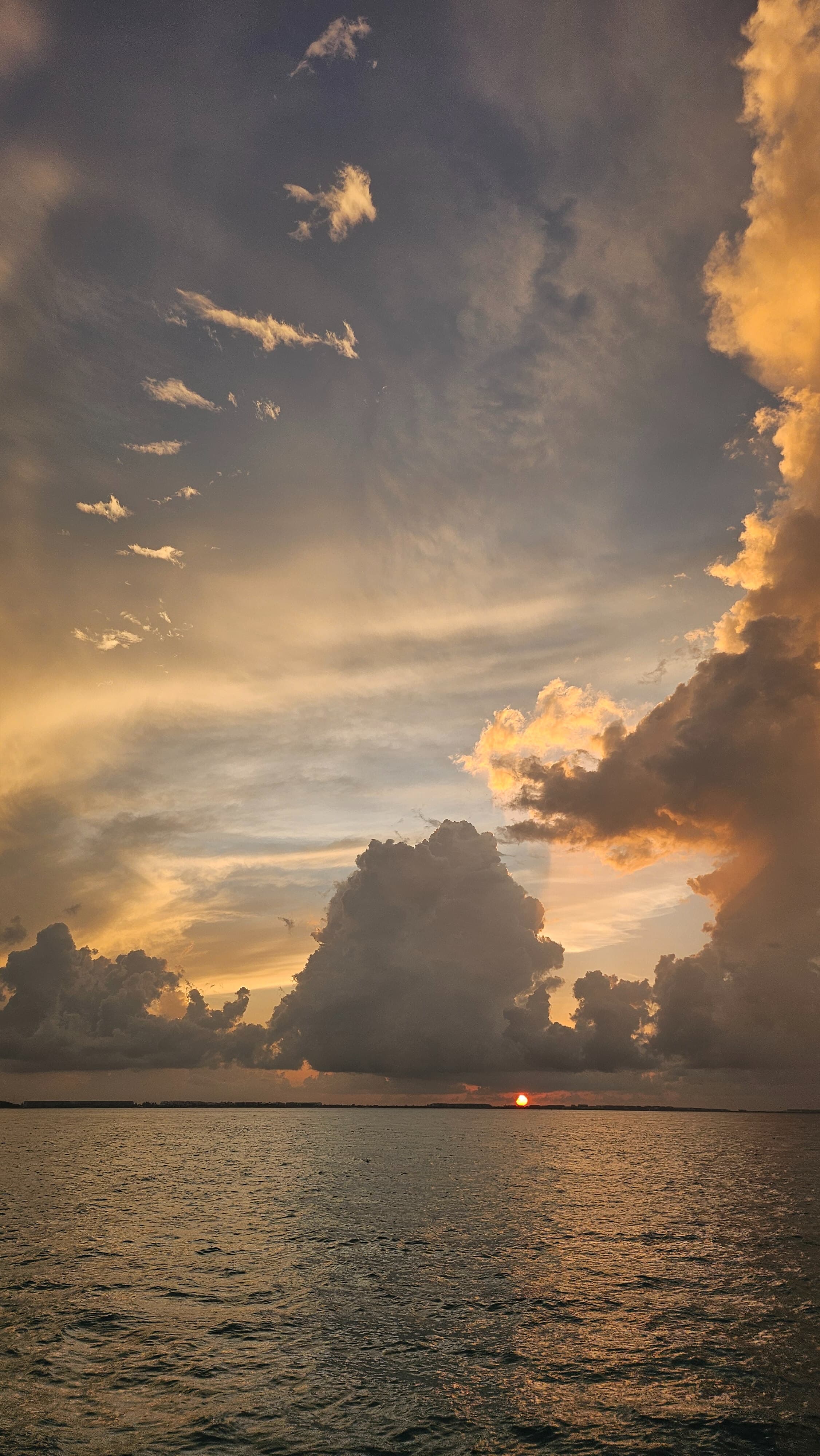 Carello banner image