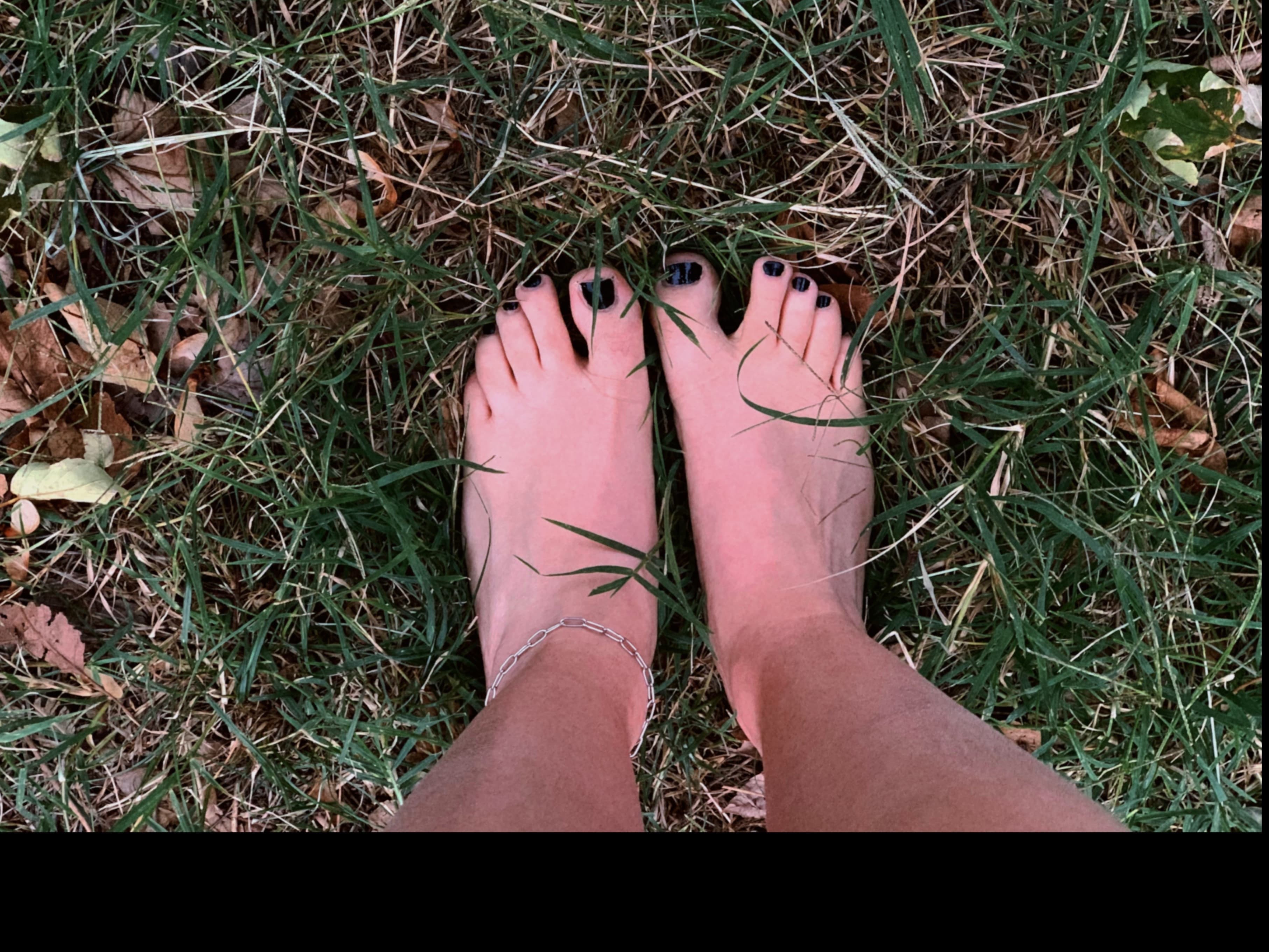 Lola Toesy banner image