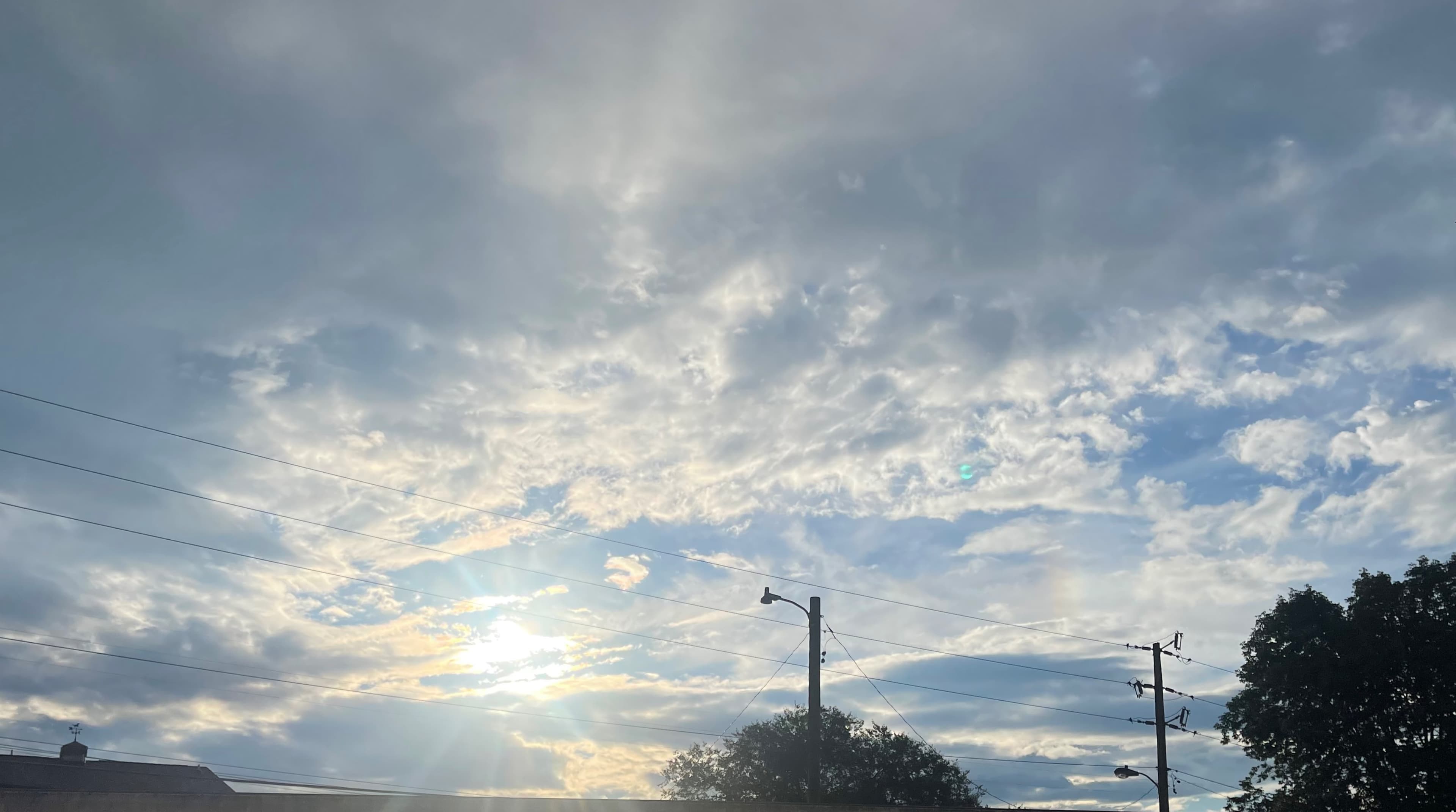 Summer Blane banner image