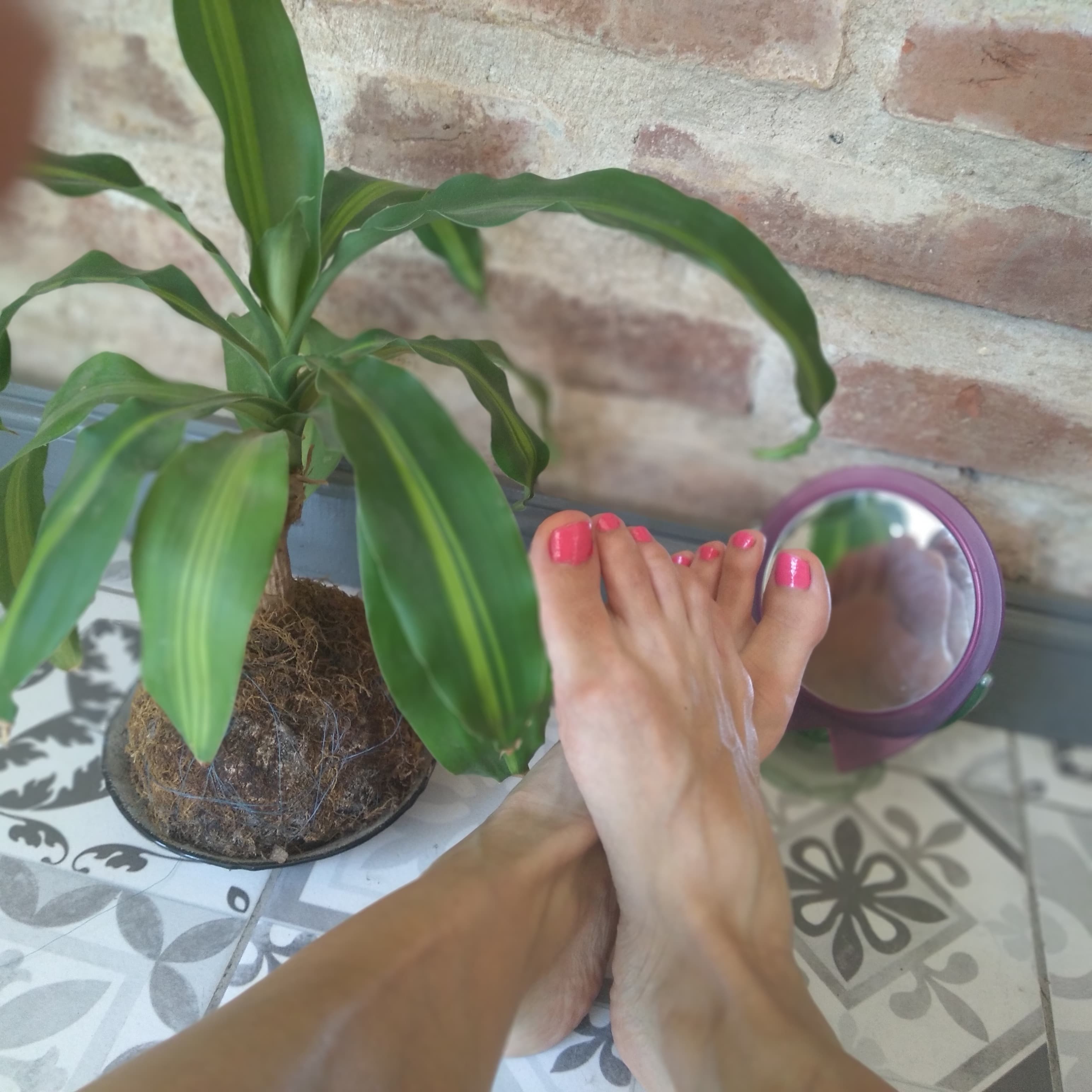 AfroditaFeet banner image