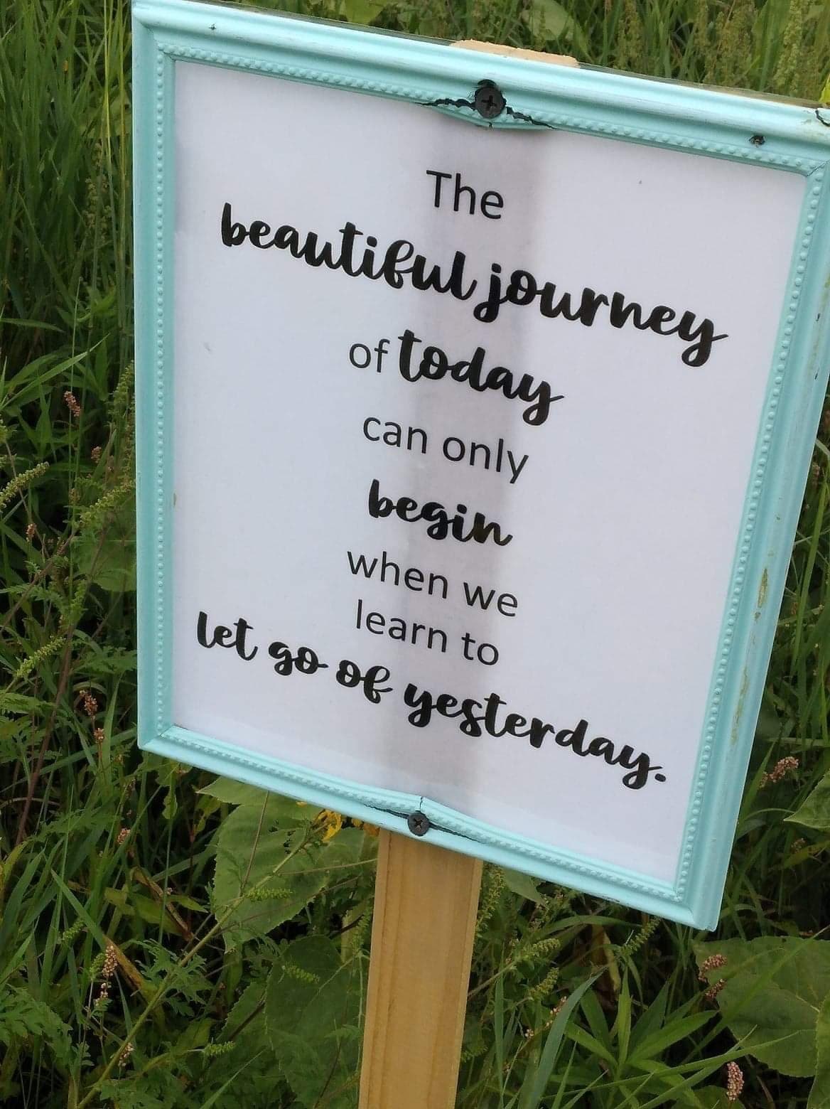 Bethany banner image