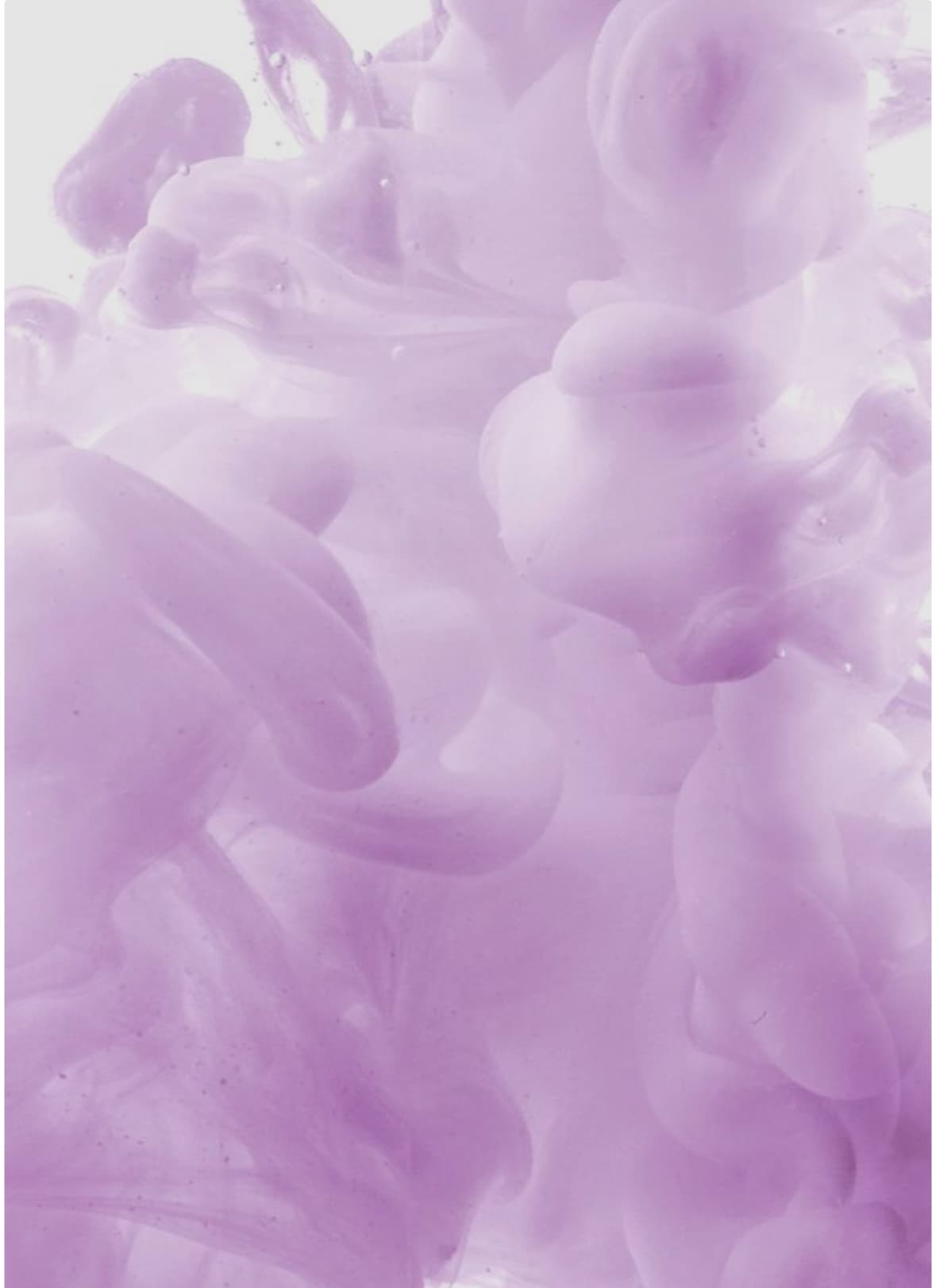 Brittany June banner image
