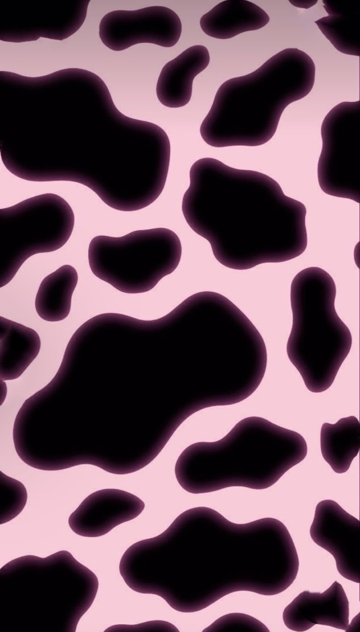 Juliia banner image