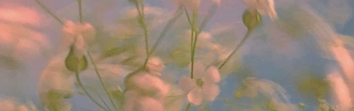 Kennedy Parker banner image
