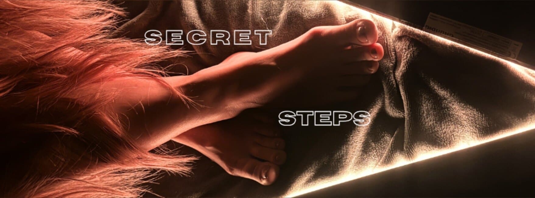 Secret Steps banner image