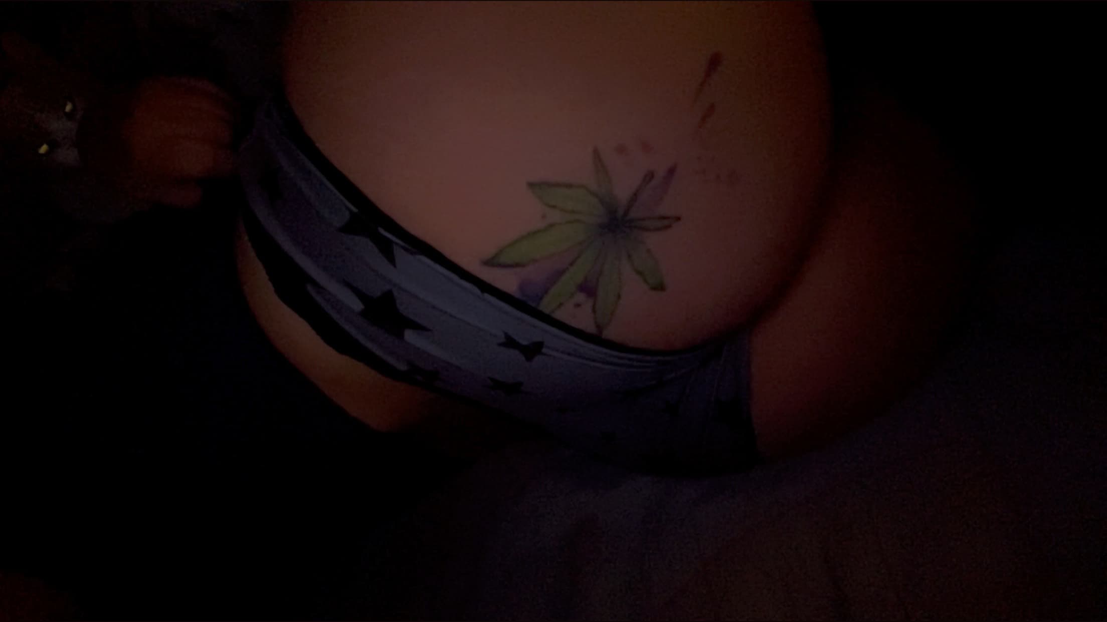 BellaFan420 banner image