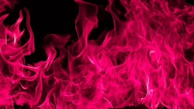 Ava Rose banner image