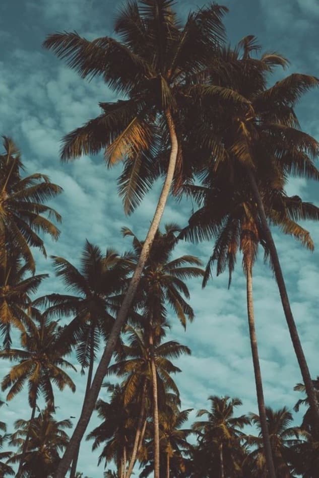 Goddessxo banner image