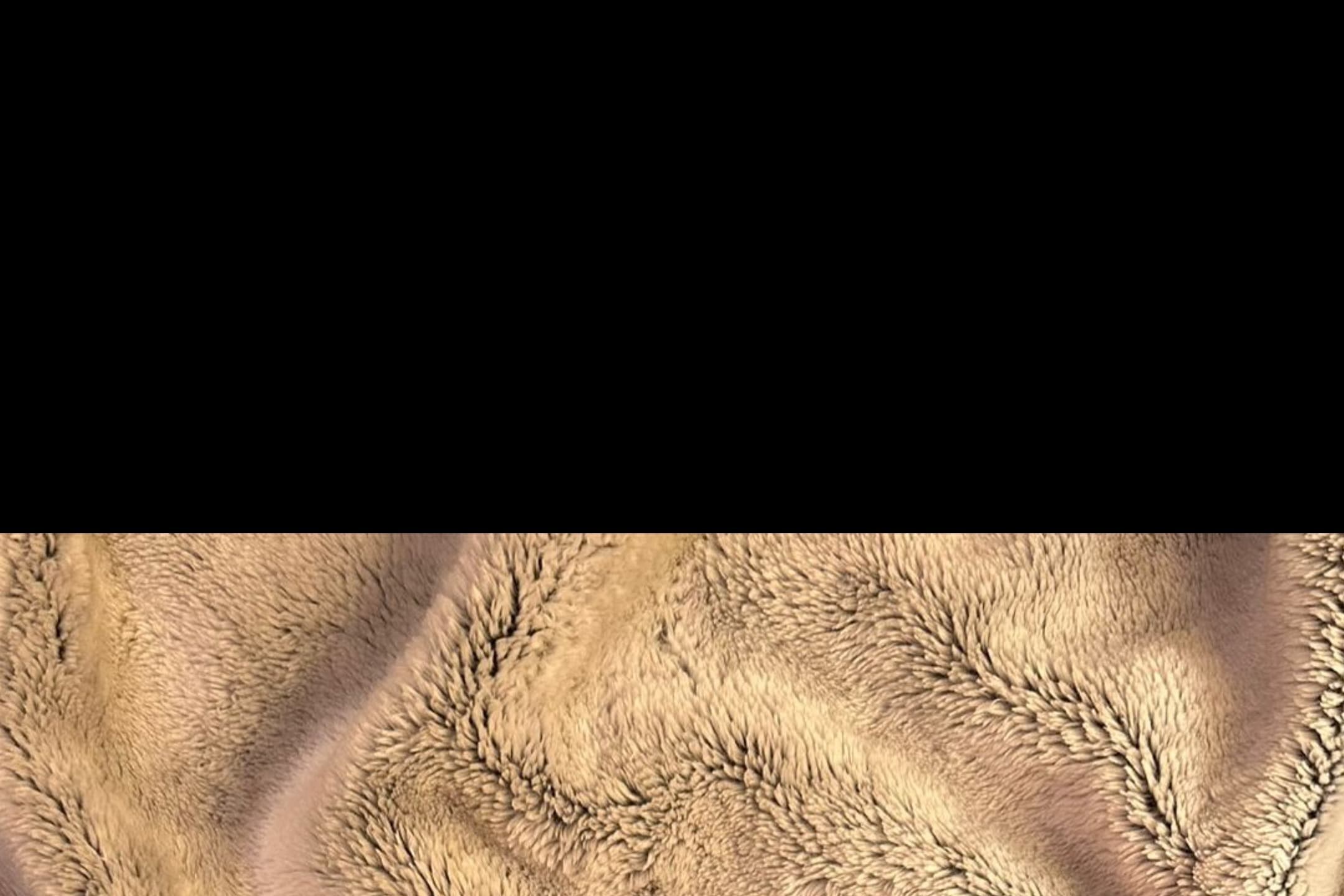 Anna Ceci banner image