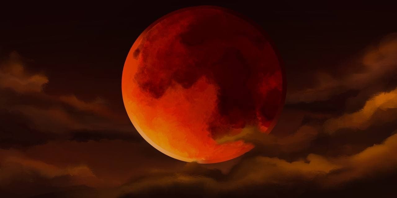 EmmaWereWoof banner image