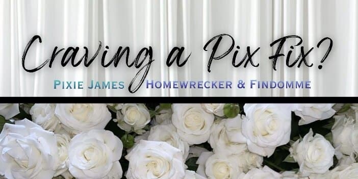 Pixie Homewrecker Princess of Paypigs banner image