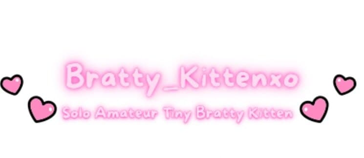 Kitten banner image