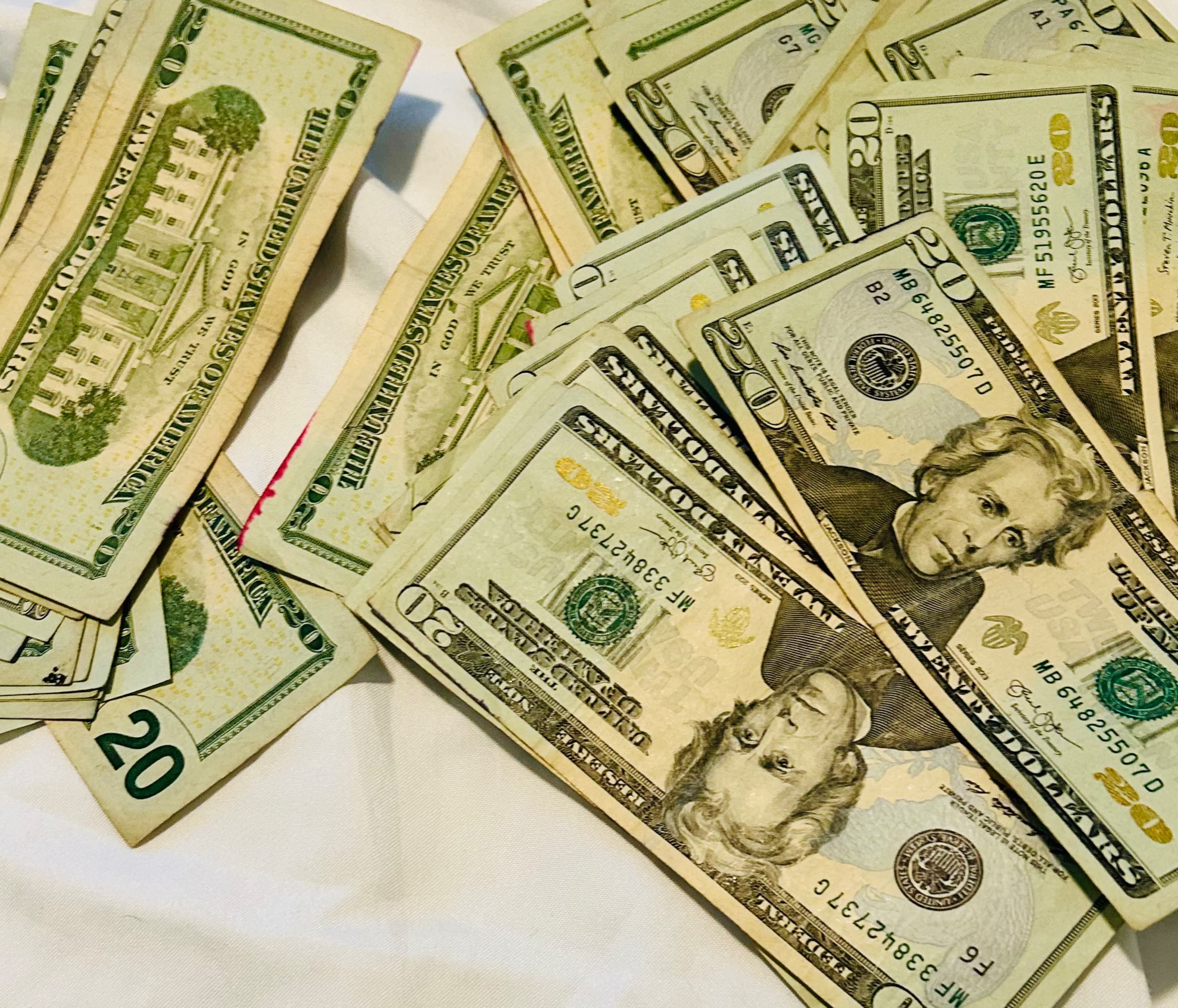 Poloconda banner image
