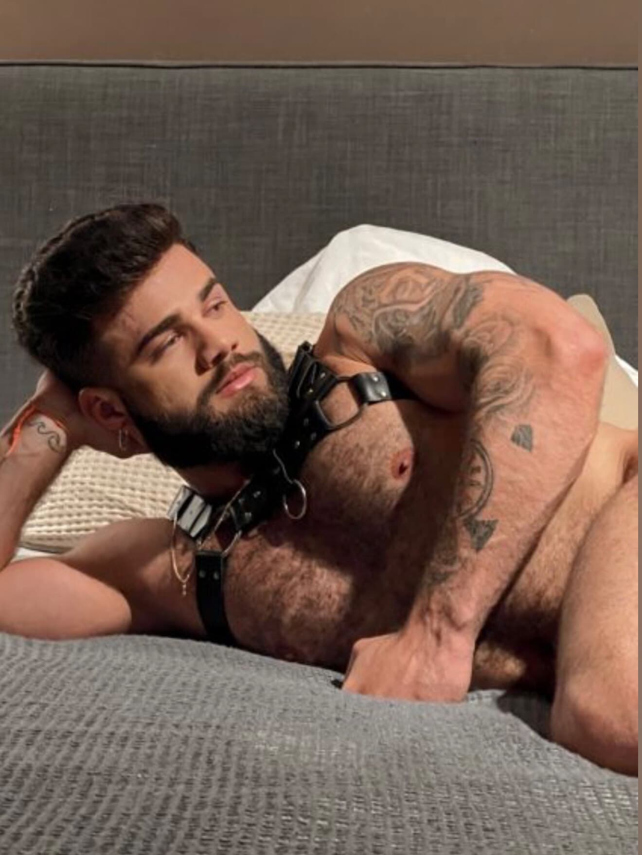 TheHairyMaster π banner image