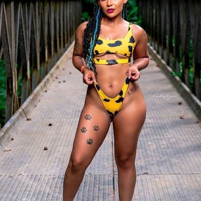 Mz Dimplez banner image