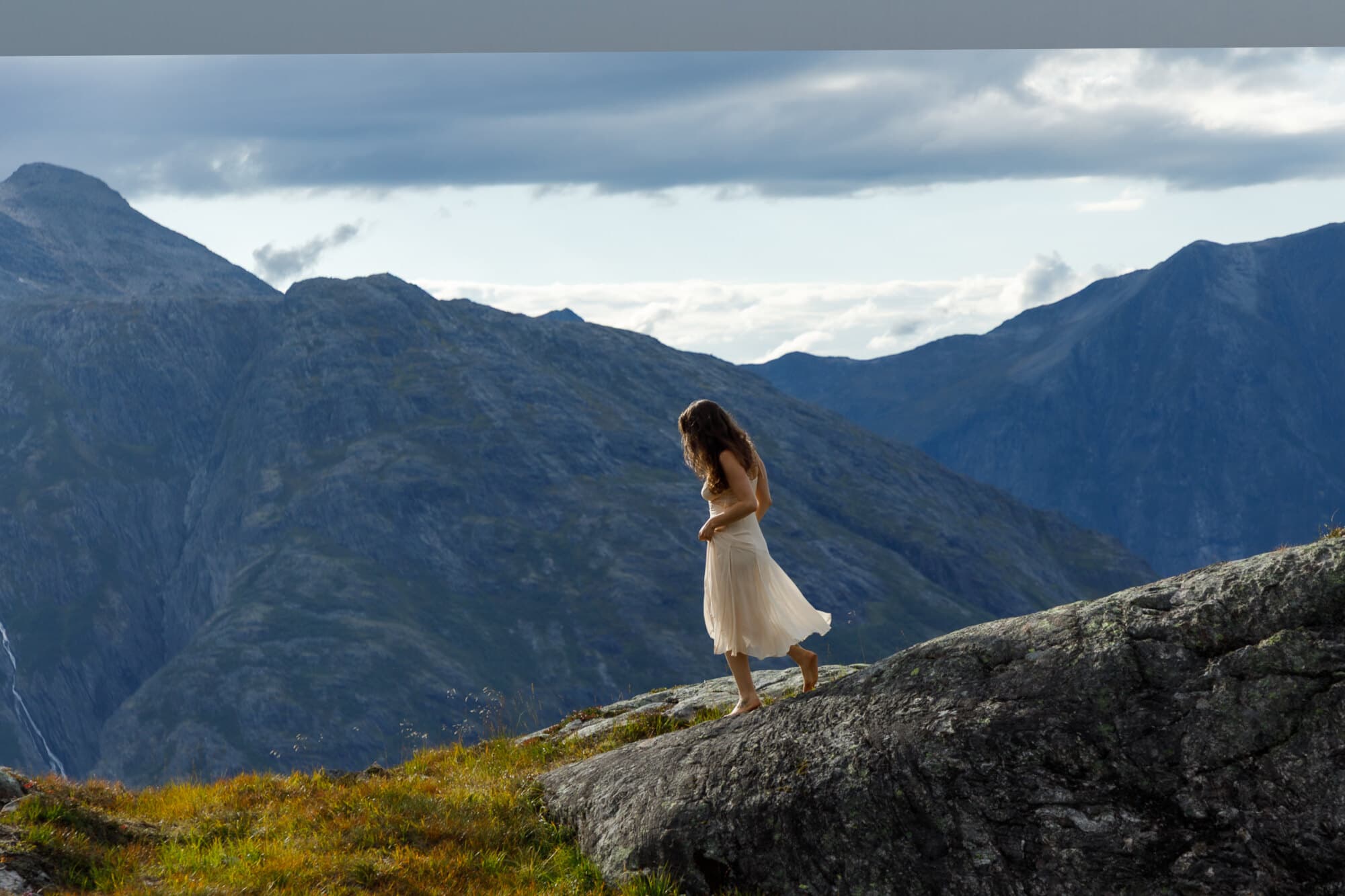 wildblume banner image
