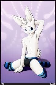 BunnyBoy banner image