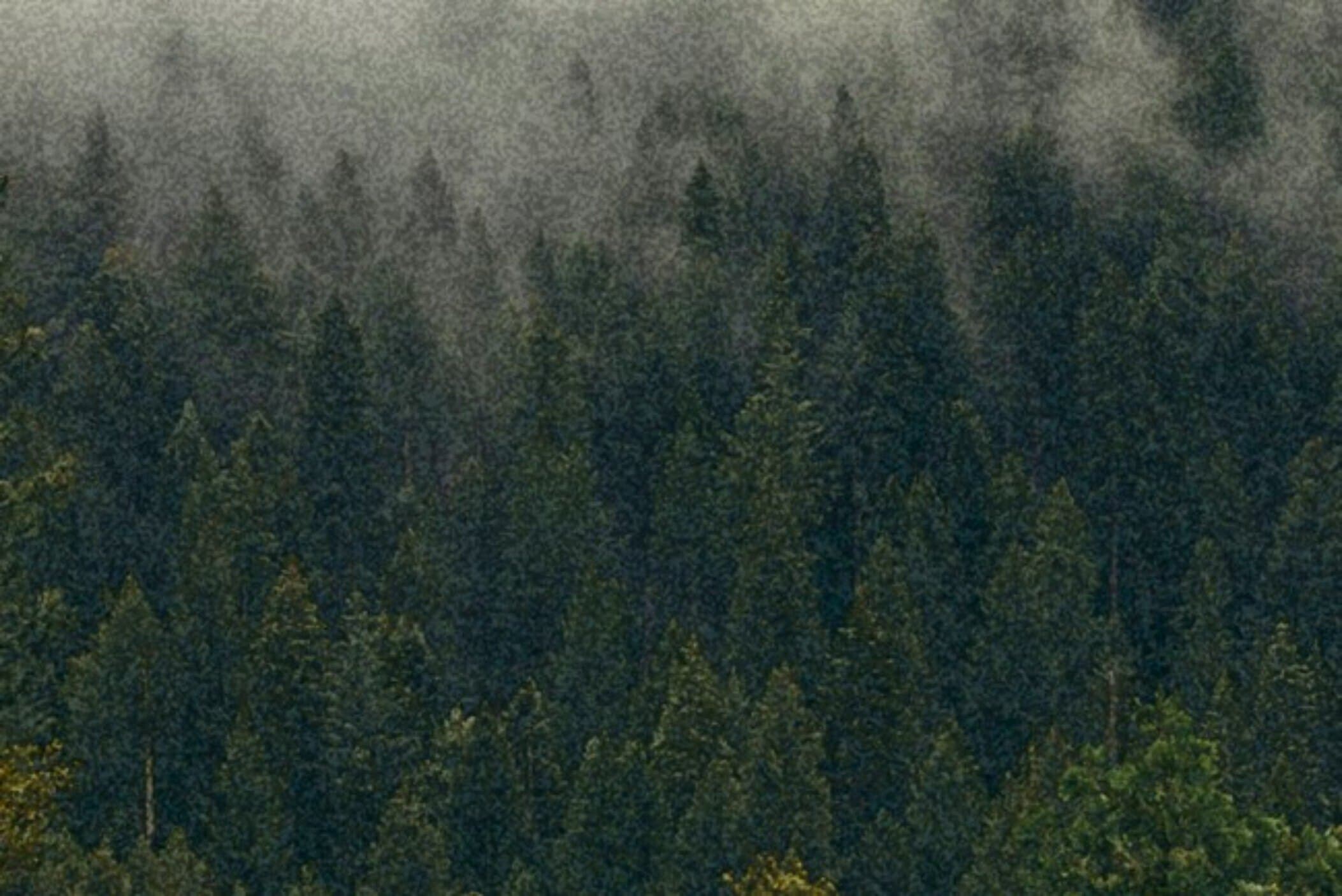 Ambar banner image