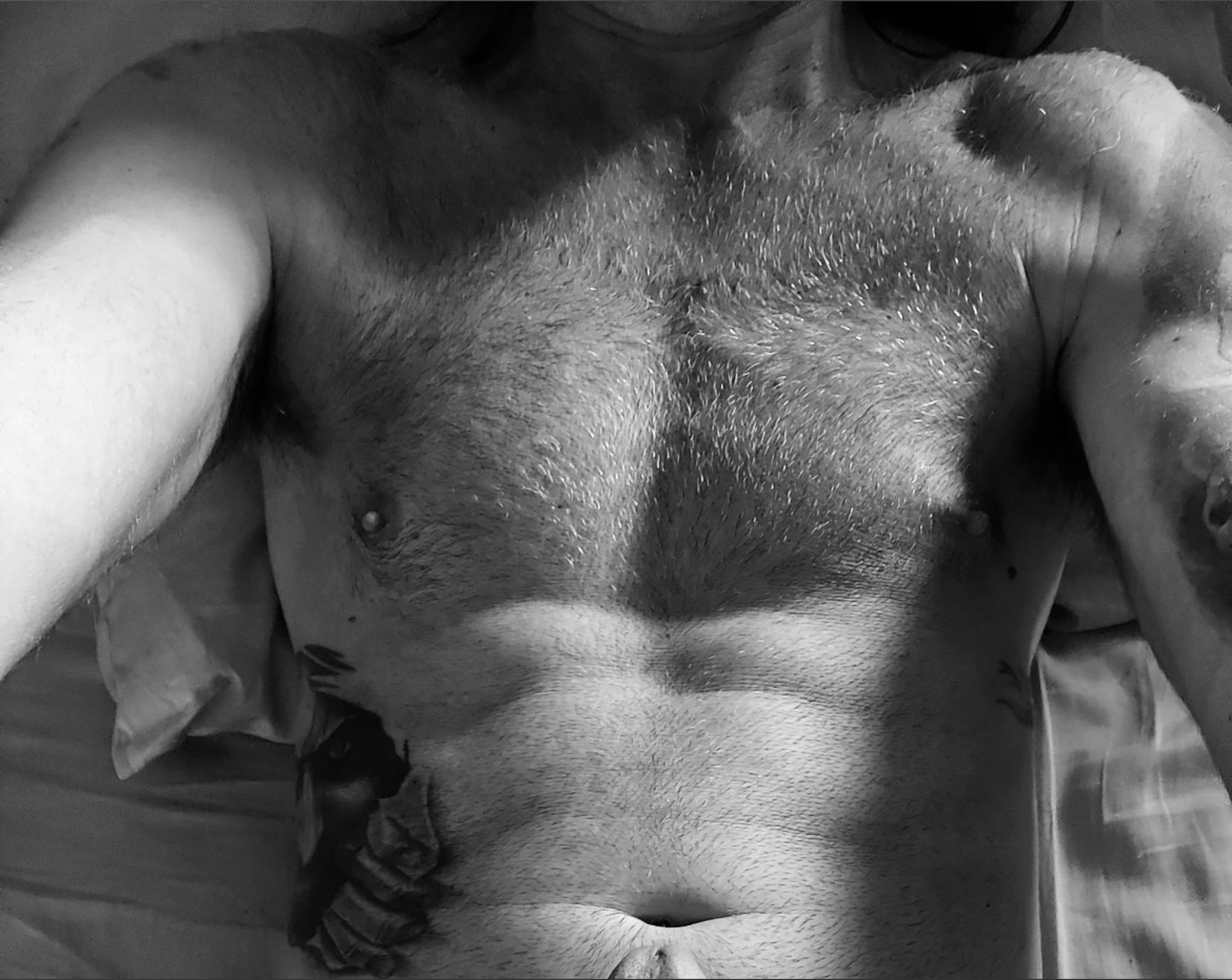 Michel banner image