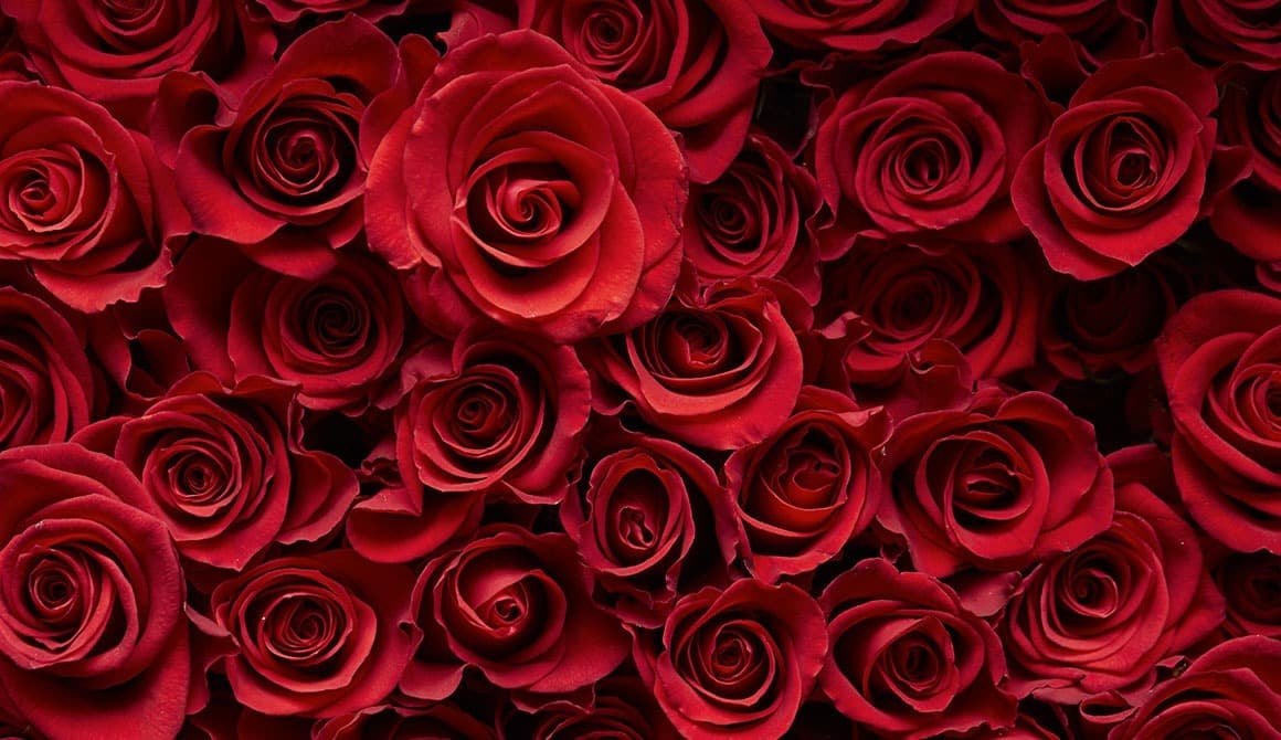 yasmine jones banner image