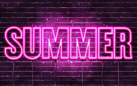 Summer banner image