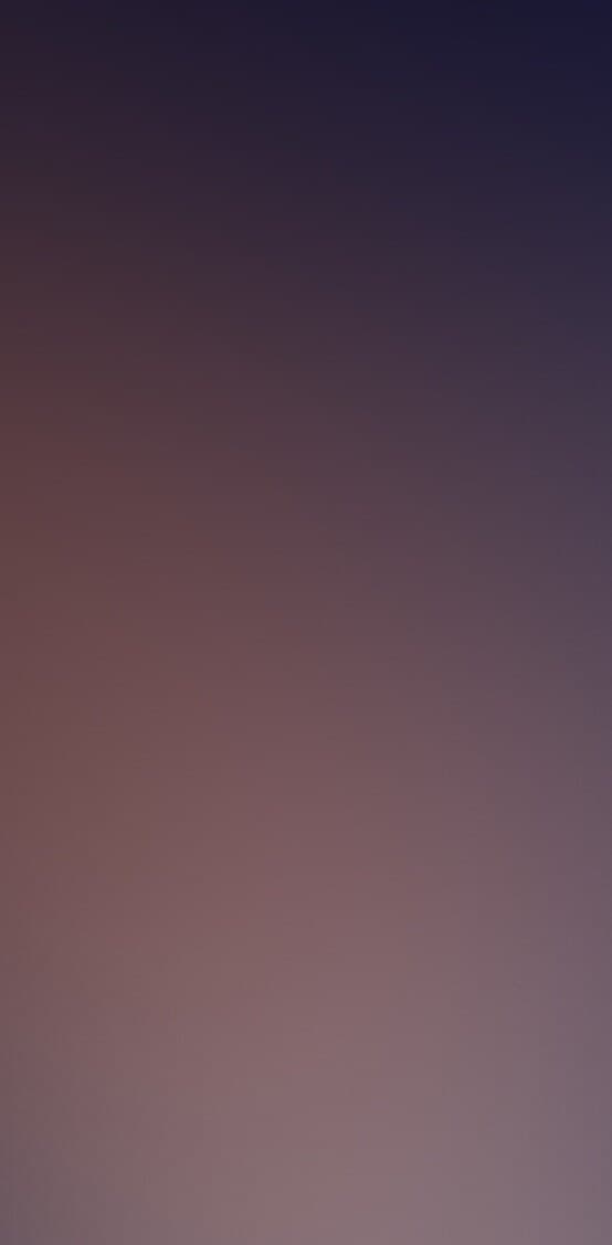Monicalu banner image