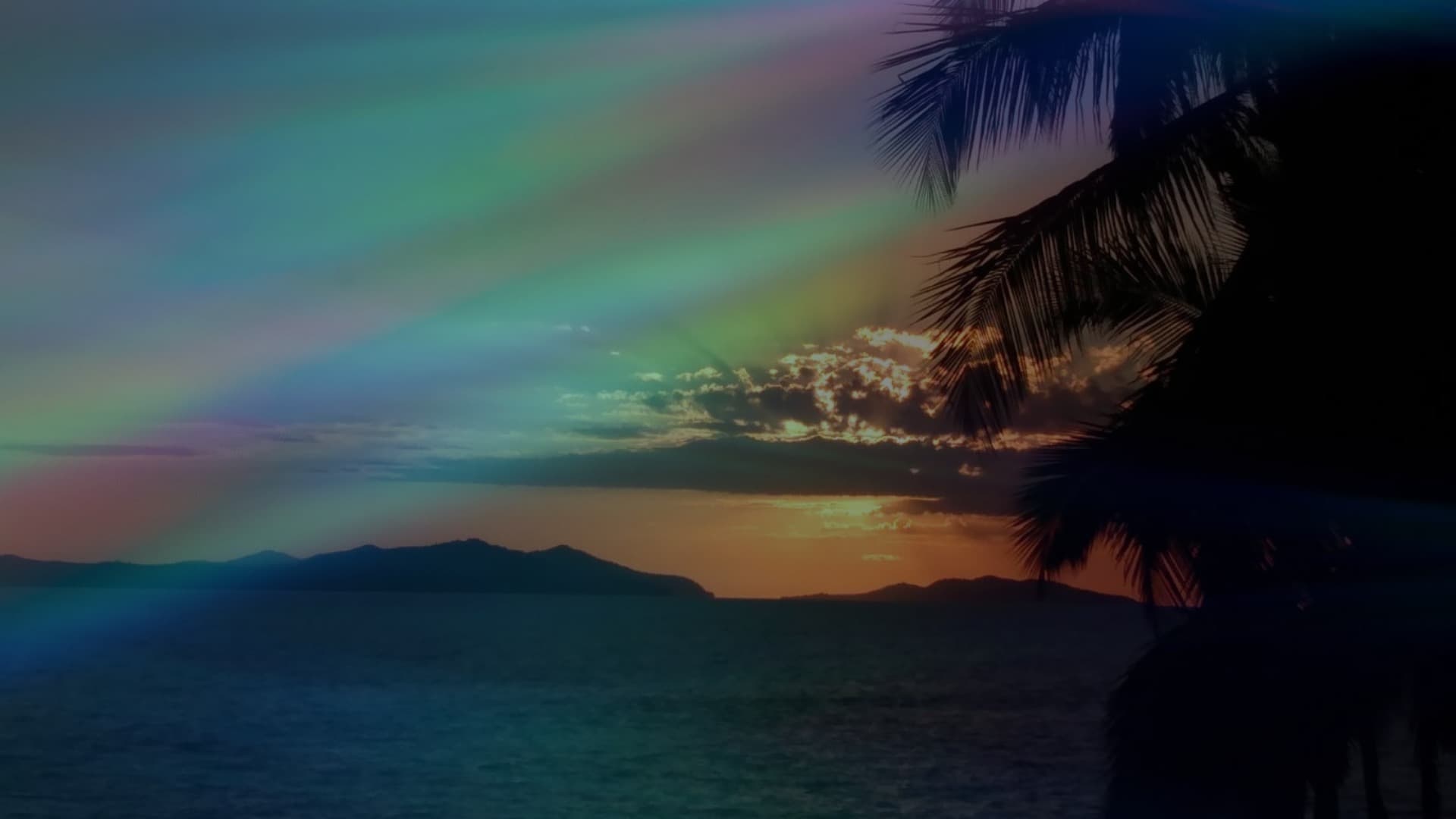 Mia_Boom💋 banner image