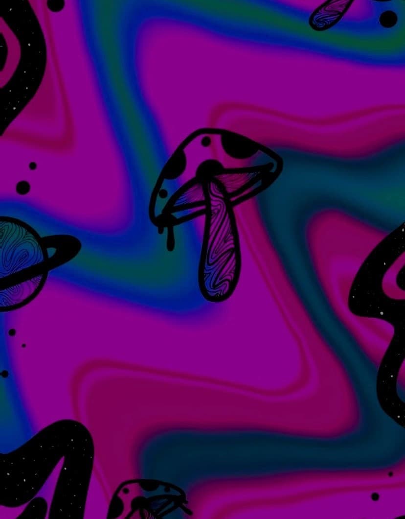 N banner image