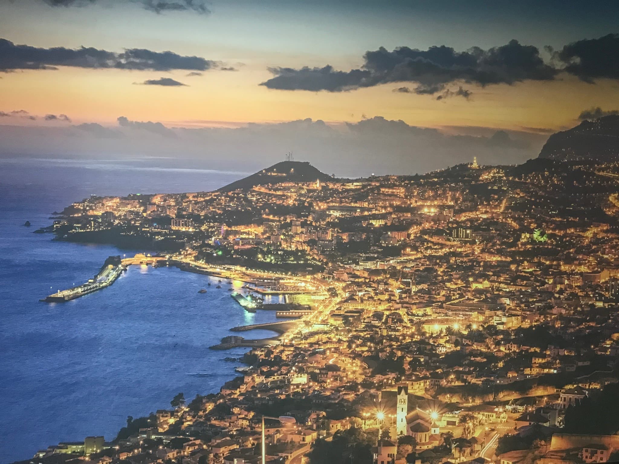 Marta Andrade banner image