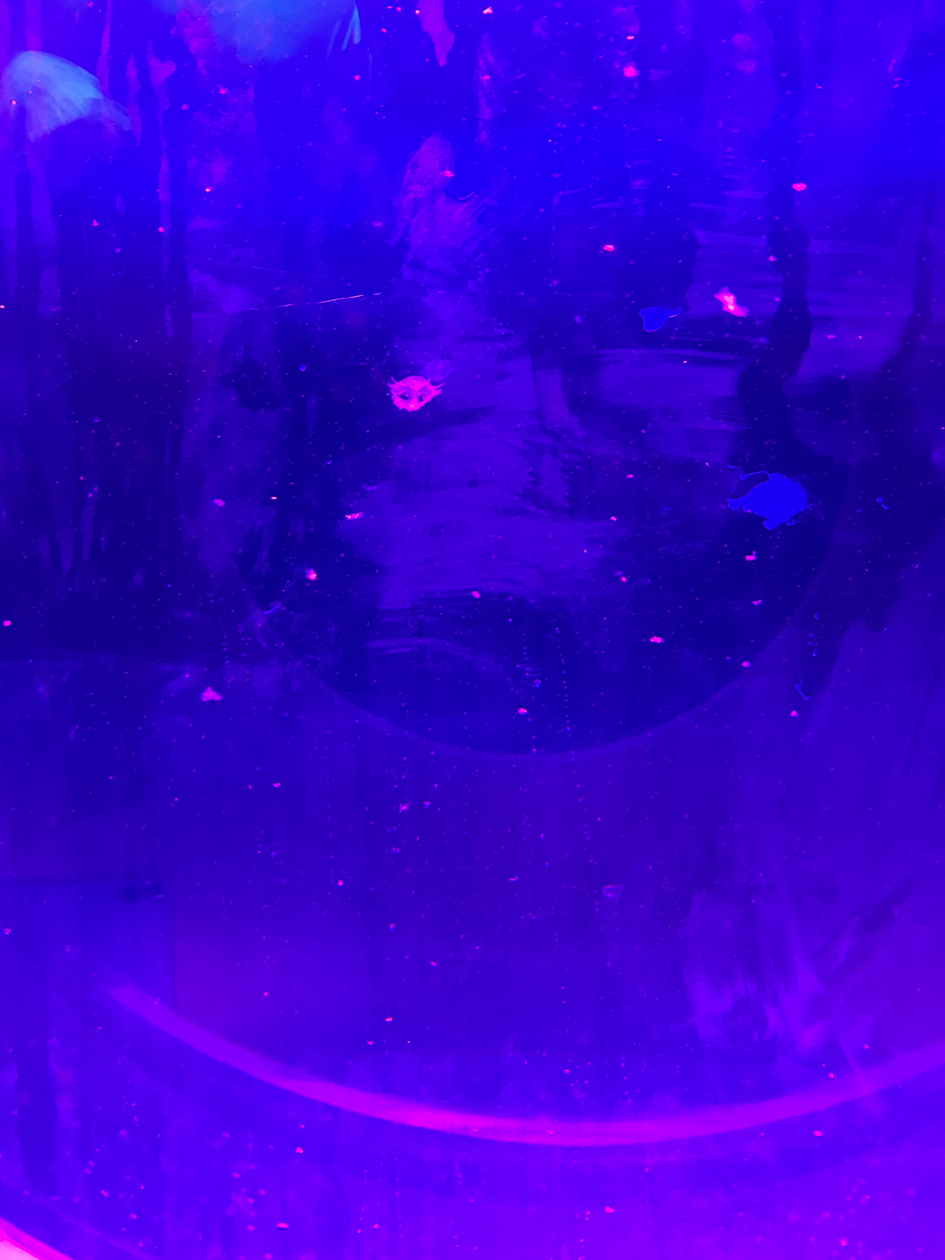Freaky.girl_x banner image