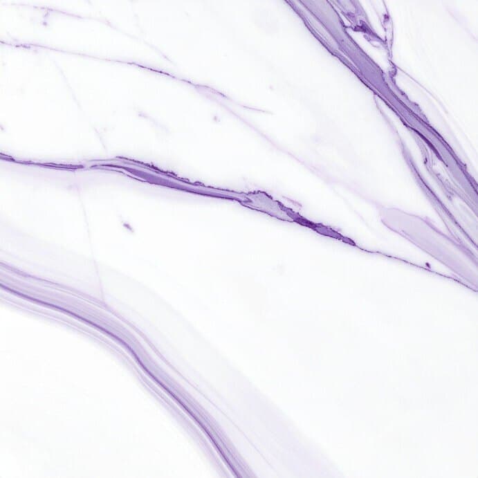 ViolaSlow banner image