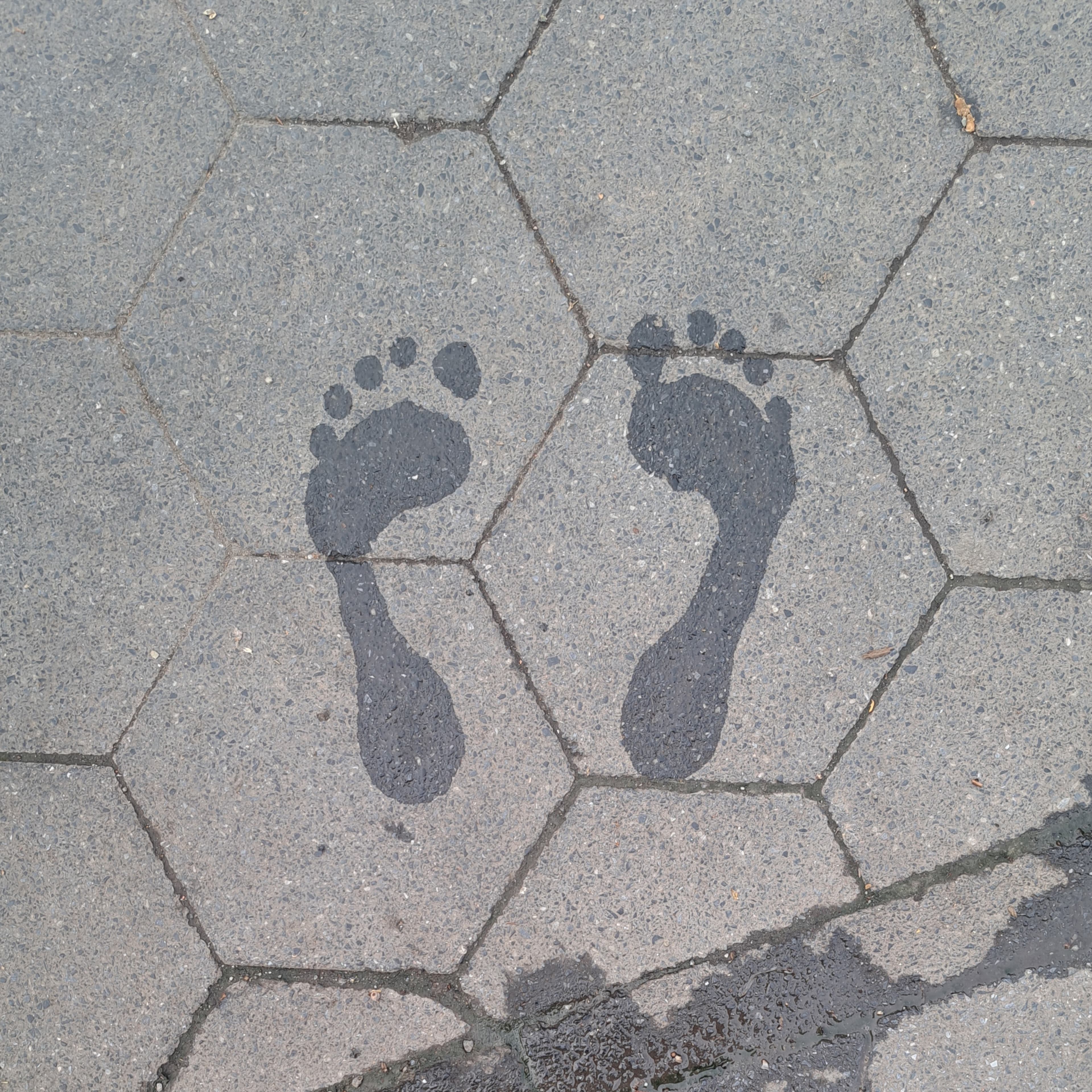 Miss Footsies banner image