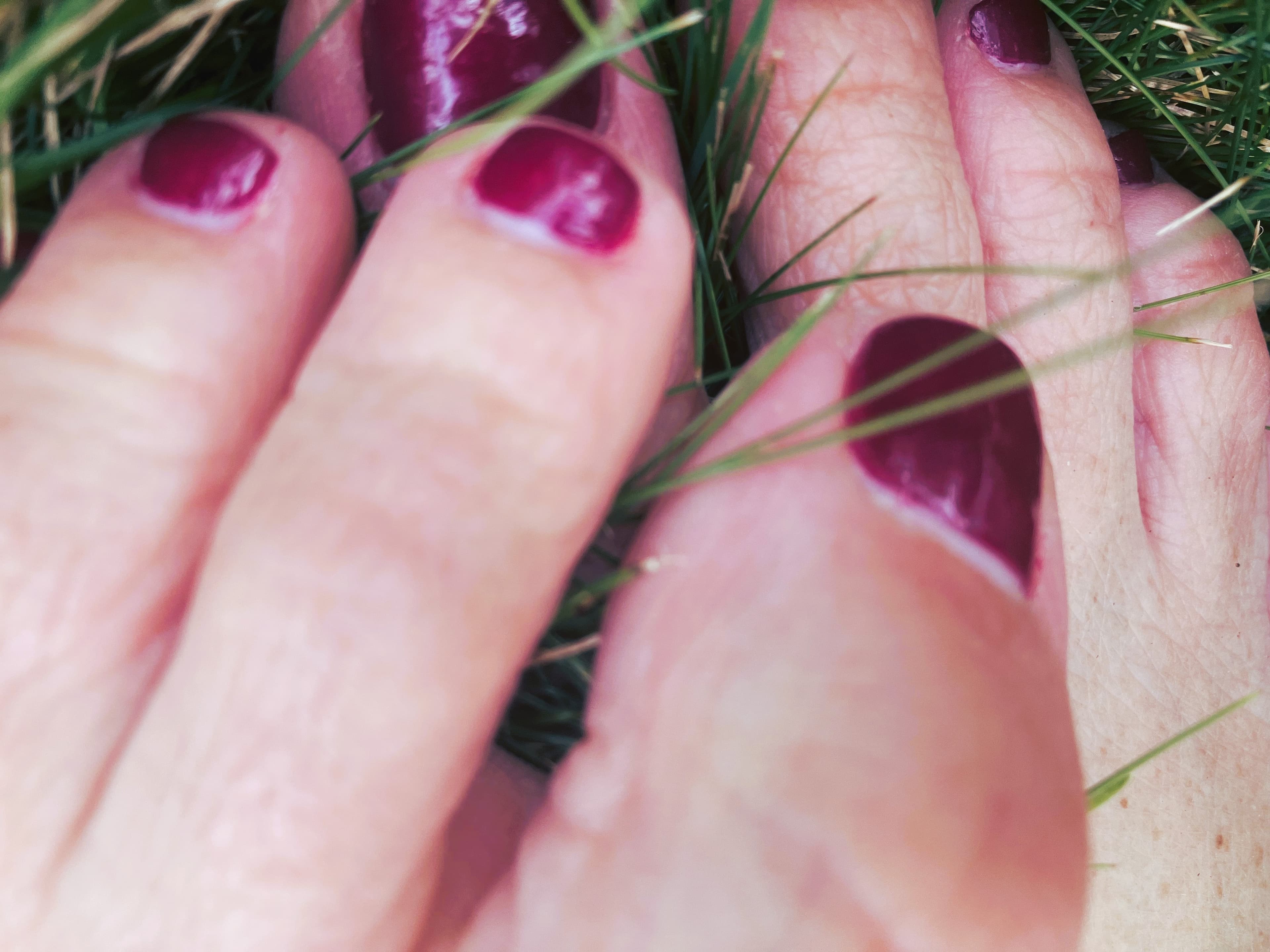 Karol banner image