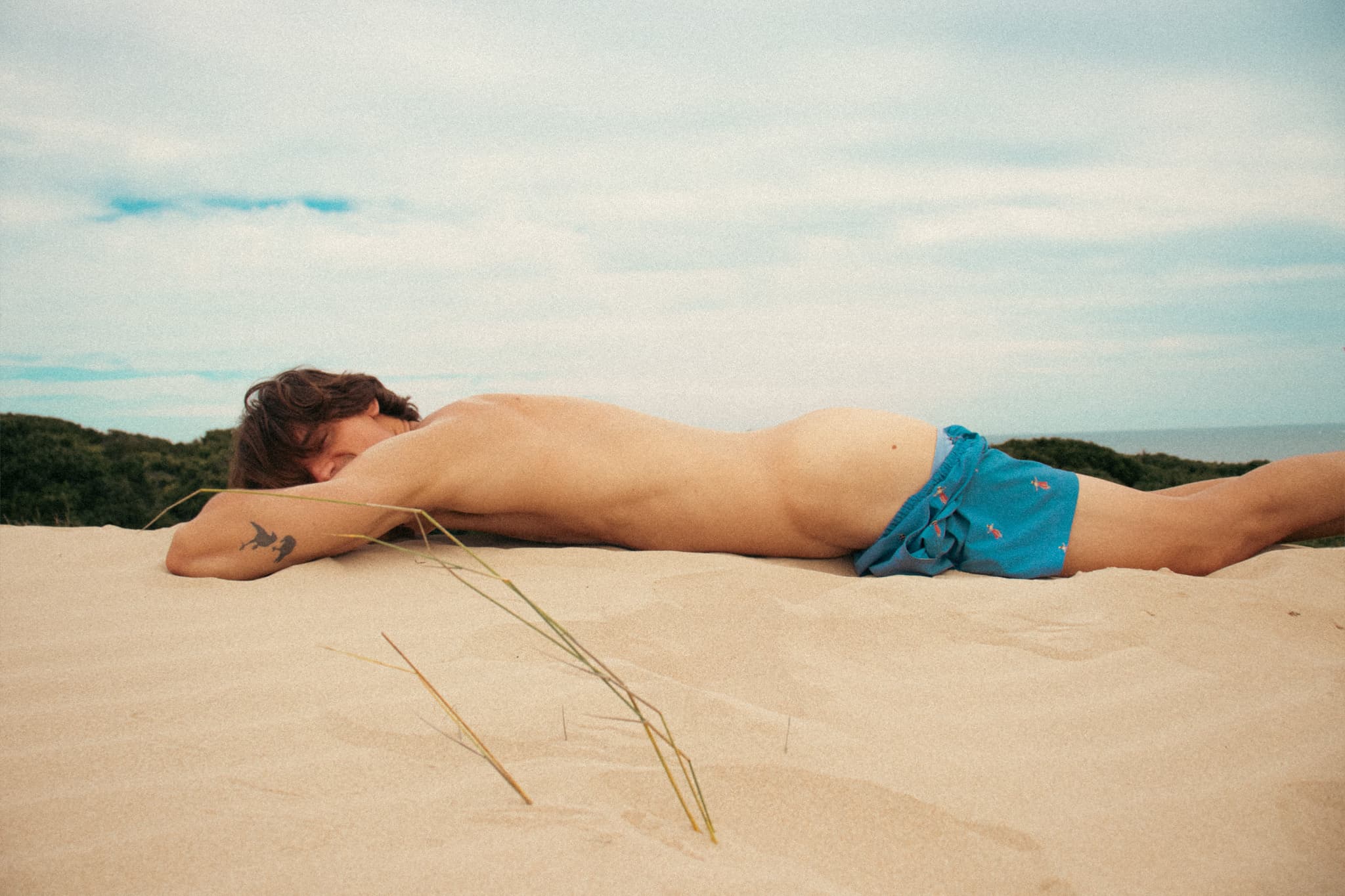 Sam Tyler banner image