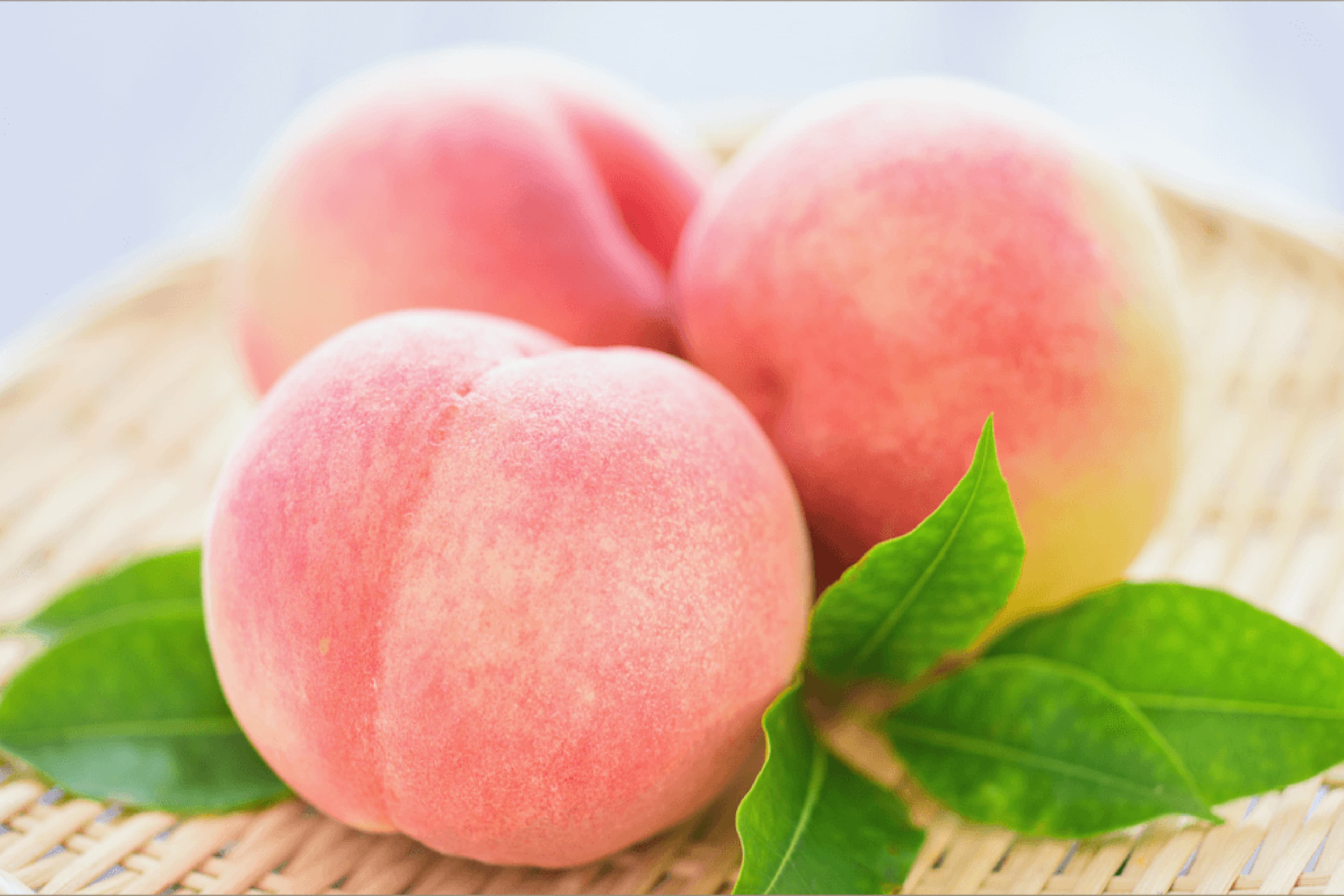 ThiccPeaches banner image