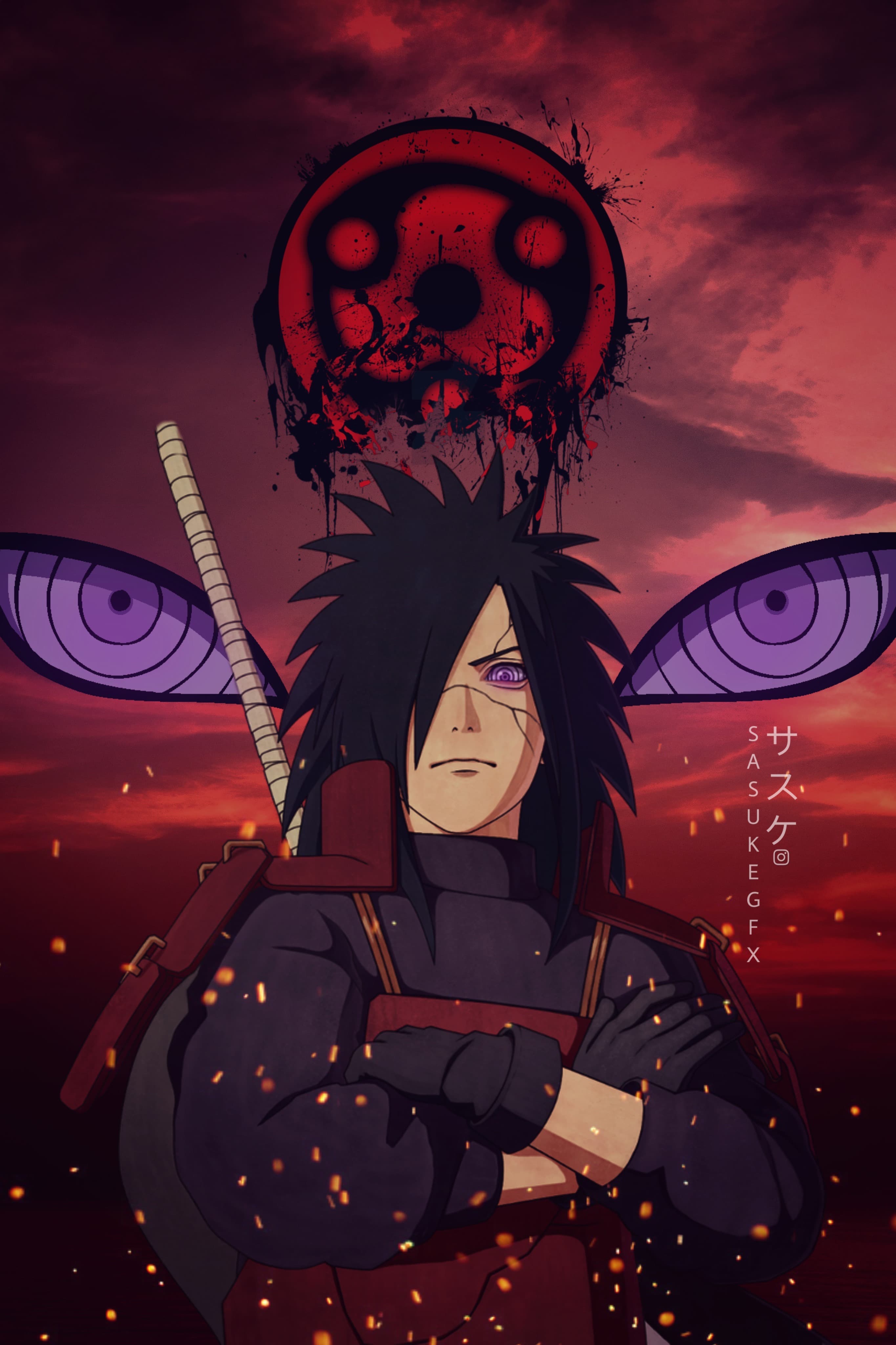 Raven banner image