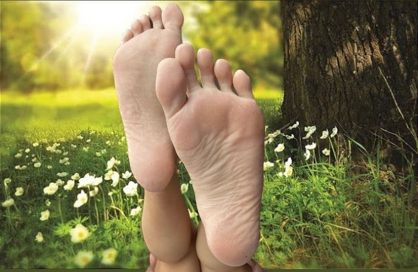 Asian angel banner image